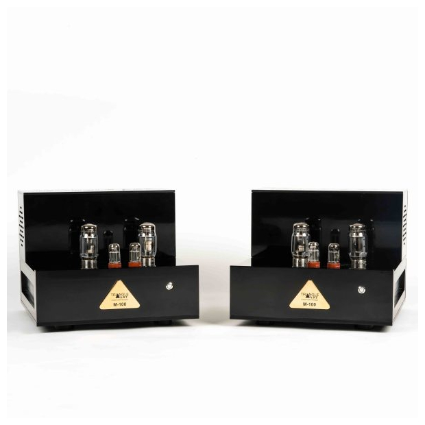 TriangleART M100.jpg